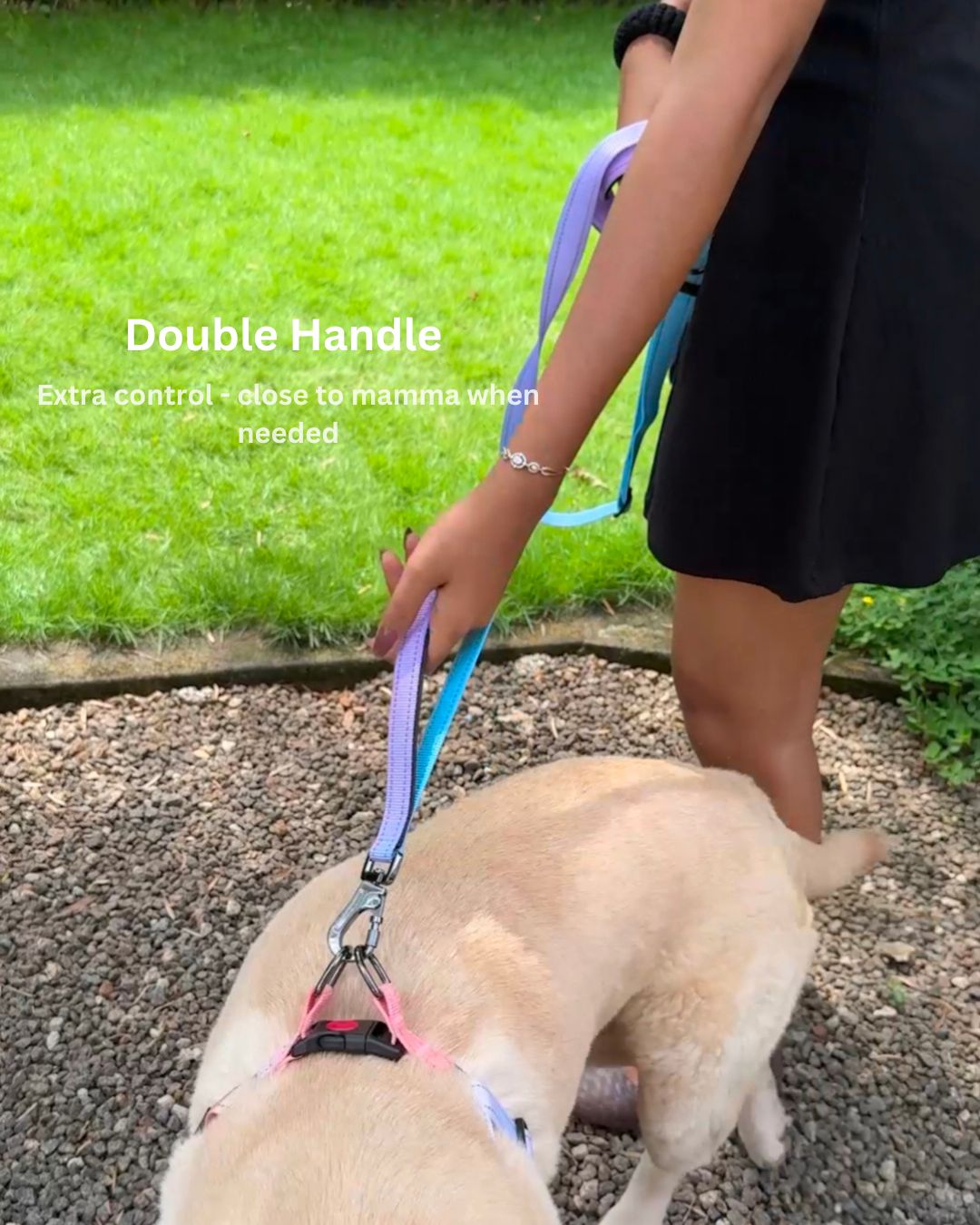 Tori Boink® Multi-purpose No-Pull Leash