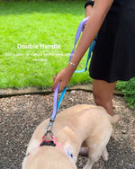 Tori Boink® Multi-purpose No-Pull Leash