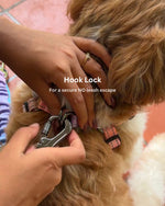 Tori Boink® Multi-purpose No-Pull Leash