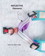 Tori Boink® Step-In Harness – Sunset Gradient