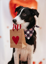 Rustic Love Checks Bandana