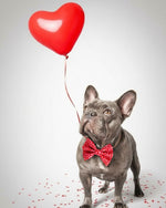 Sweetheart Parade Bow