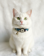 Tori Boink® QR Tag Cat Collar Print