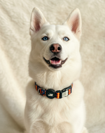 Tori Boink® Smart QR Collar – Classic Blue Plaid