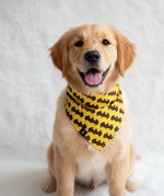 Batman Bandana