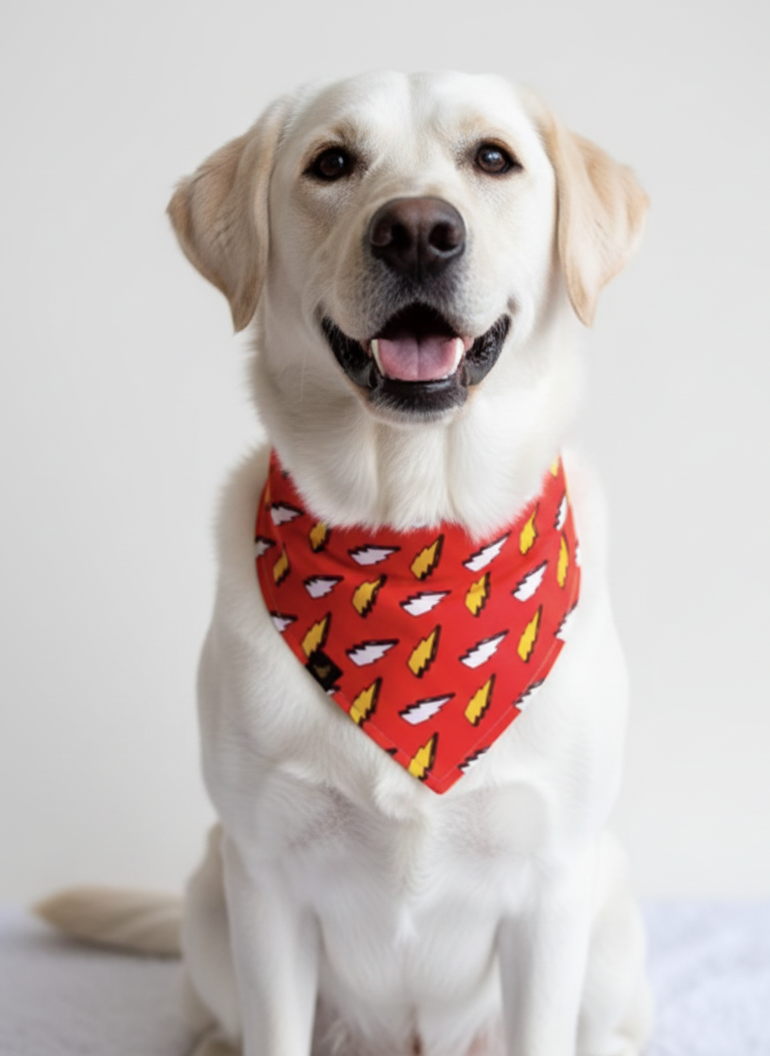 Flash Bandana