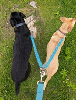 Tori Boink® Tangle Free No Pull Dual Dog Leash Attachment Blue