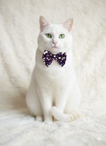 Enchanted Unicorn Bow