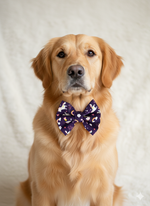 Enchanted Unicorn Bow