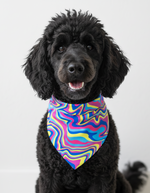Rainbow Bandana
