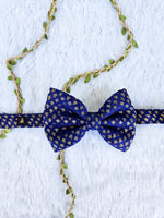 Regal Royal Blue Brocade Bowtie