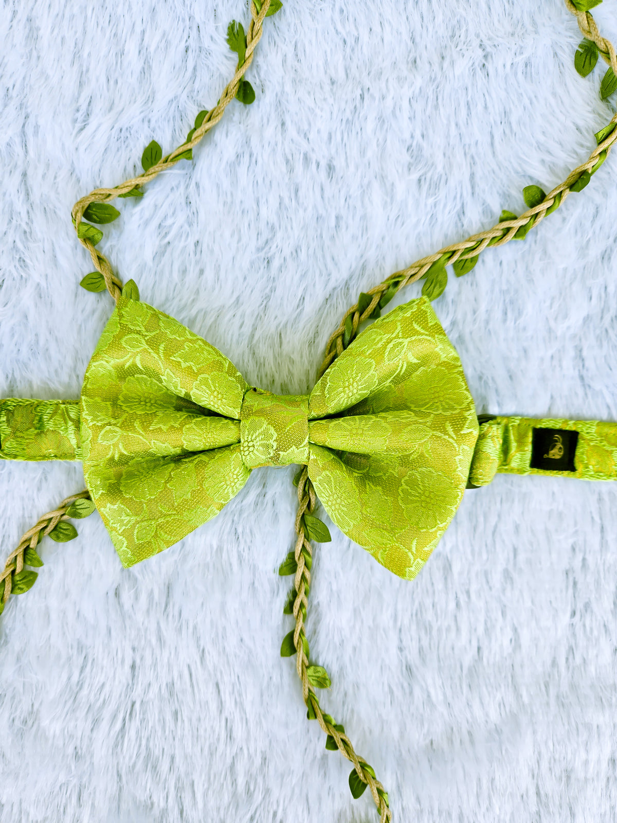 Lush Lime Brocade Bowtie