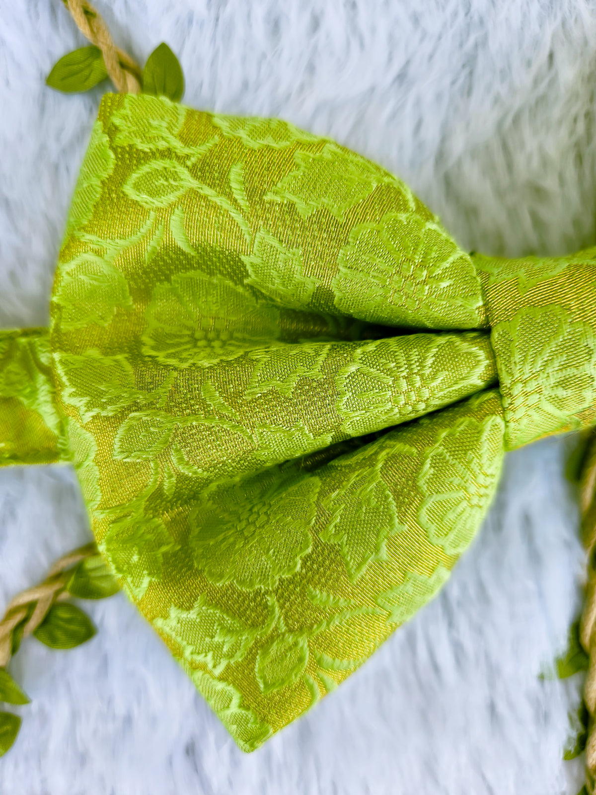 Lush Lime Brocade Bowtie