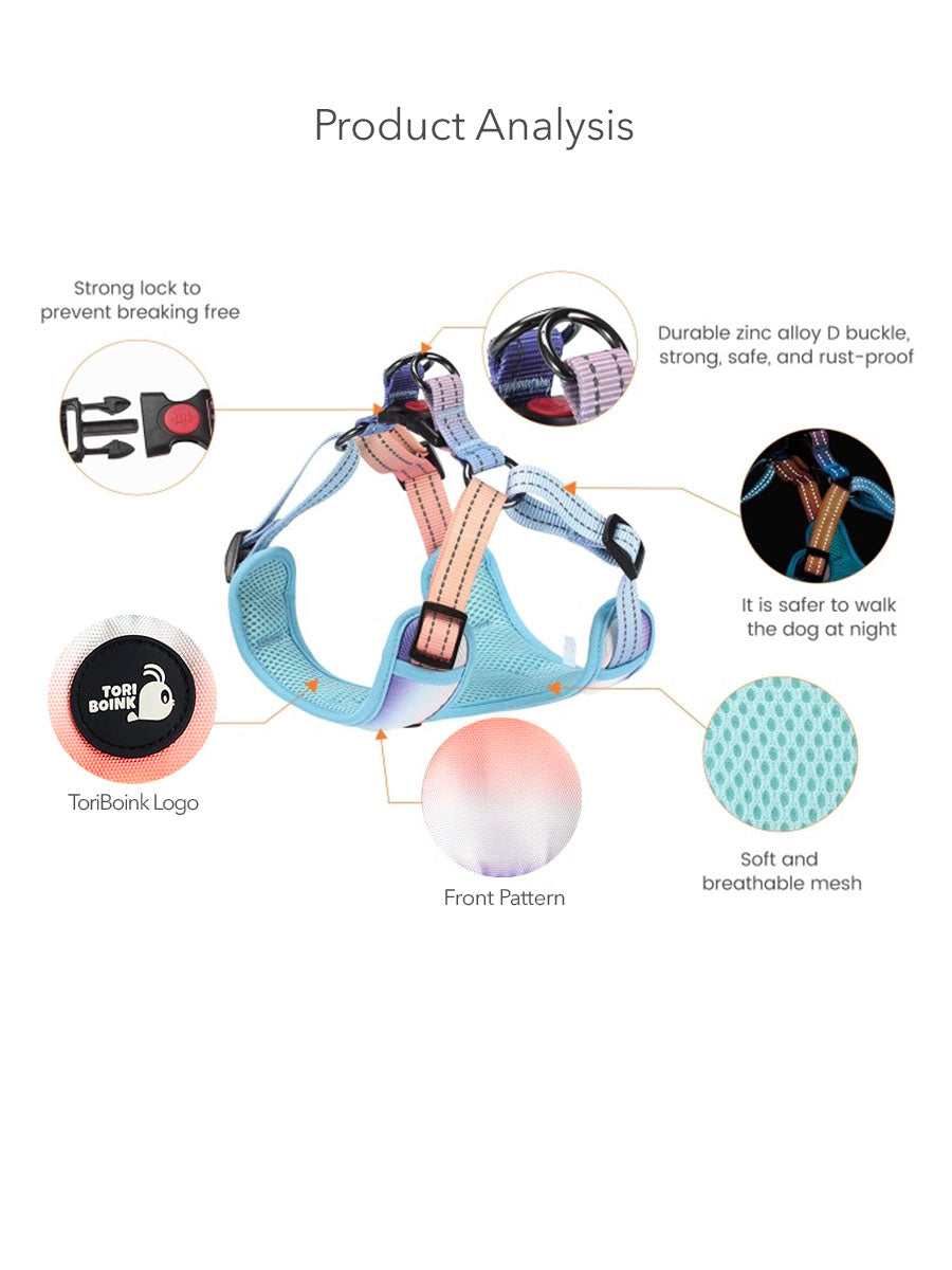 Tori Boink® Step-In Harness – Sunset Gradient
