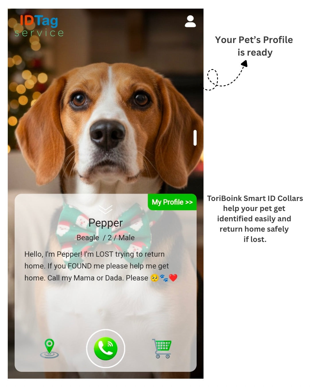 Tori Boink® Smart QR Collar – Classic Blue Plaid