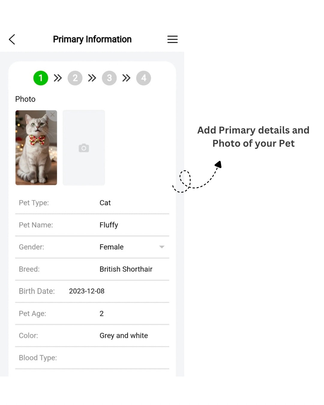 Tori Boink® Smart QR Cat Collar – Gradient