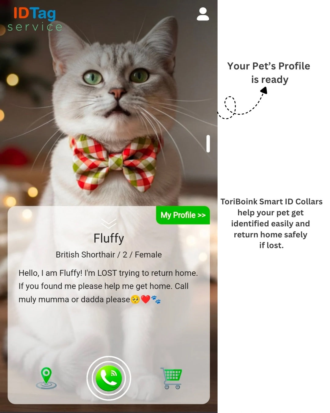 Tori Boink® Smart QR Cat Collar – Gradient
