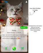Tori Boink® Smart QR Cat Collar – Gradient