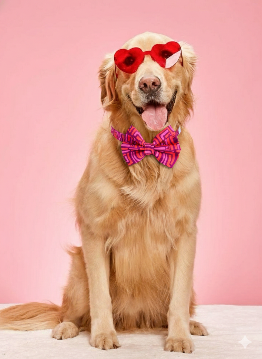 Retro Pop Maze Bowtie