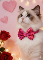 Retro Pop Maze Bowtie