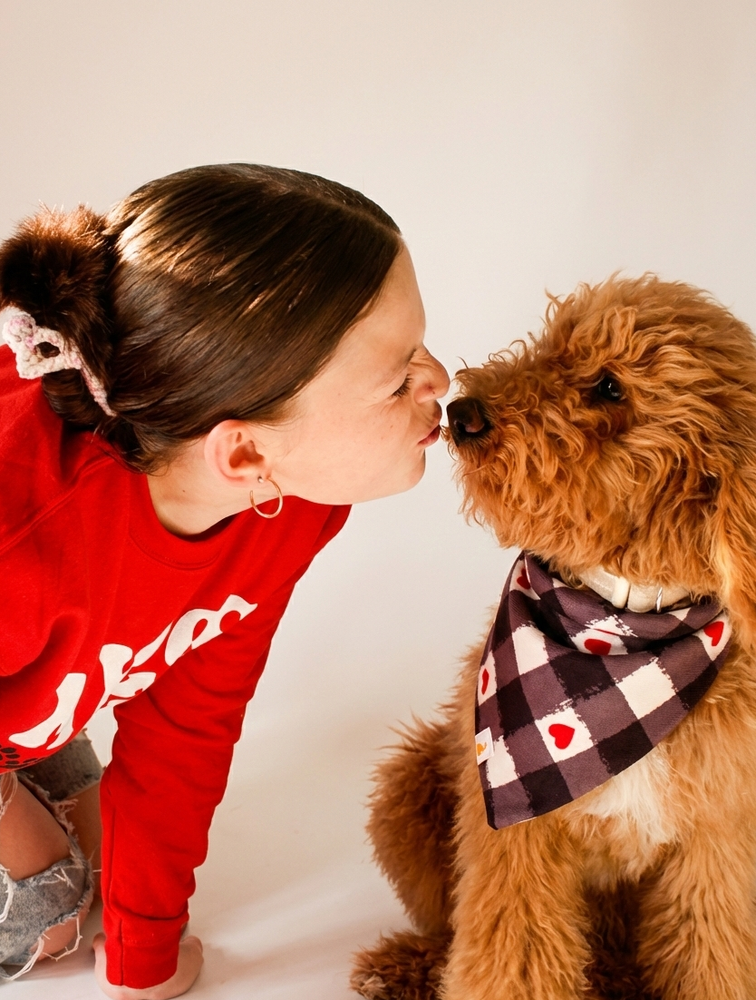 Rustic Love Checks Bandana