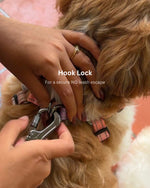 Tori Boink® 6 In 1 Multi-Purpose No-Pull Leash Black