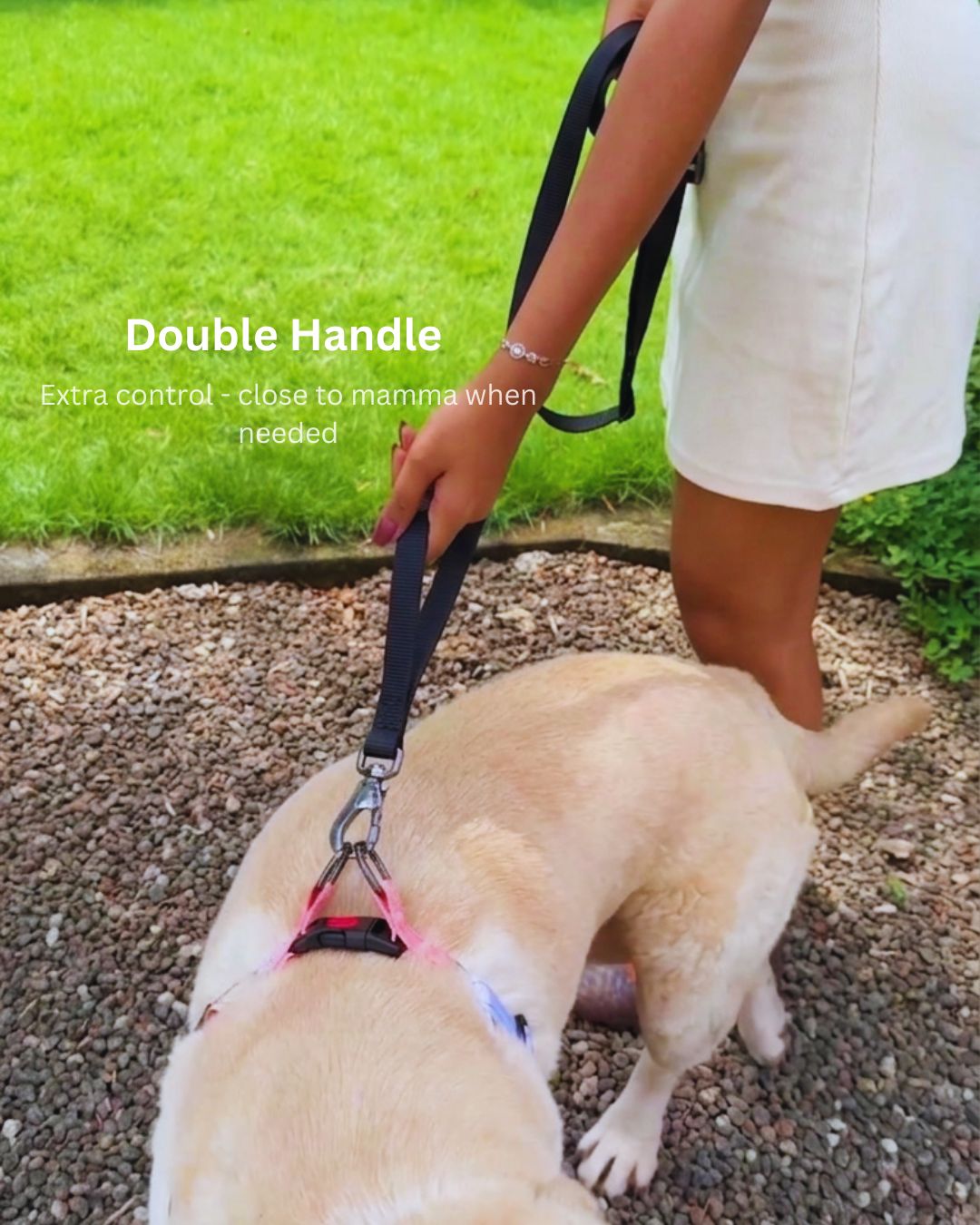 Tori Boink® 6 In 1 Multi-Purpose No-Pull Leash Black