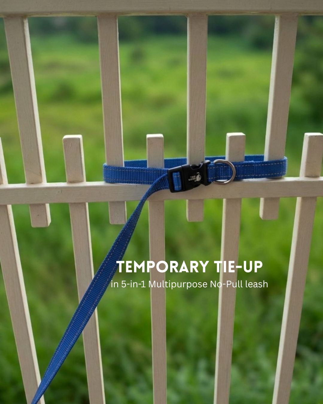 Tori Boink® 5 In 1 Multi-Purpose Hands Free Leash Blue