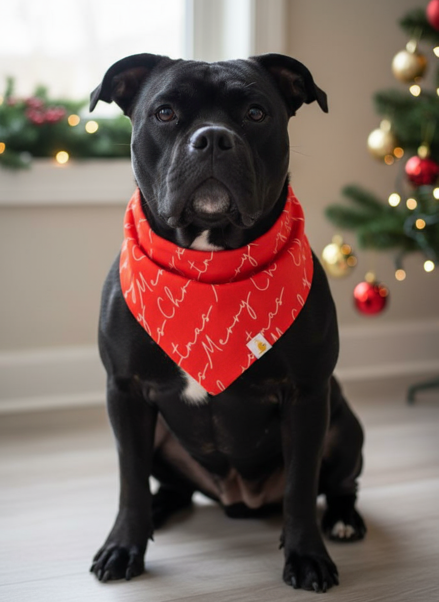 Christmas Cheer Bandana