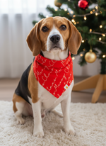 Christmas Cheer Bandana