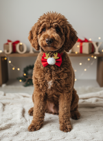 Rudolph Festive Bowtie