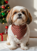 Merry Checks Bandana