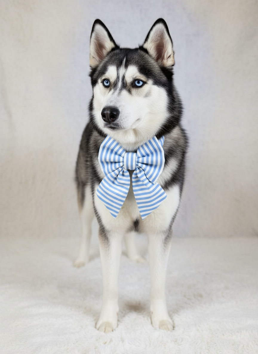 Blue Striped Sailor Bow Tie