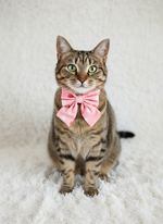 Pink sailor Bow Tie