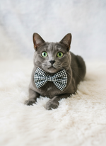 Classic Gingham check Bow Tie