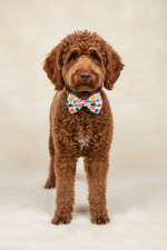Floral Bow Tie
