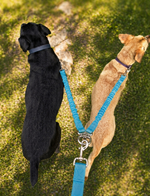 Tori Boink® Tangle Free No Pull Dual Dog Leash Attachment Blue