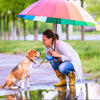 Rainy Day Woofs and Meows: Essential Tips for Monsoon Pet Care