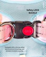 Tori Boink® Step-In Harness – Sunset Gradient