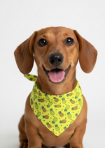 Pineapple Punch Bandana