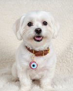 Tori Boink® Purple Eye Charm