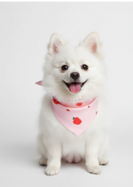 Fruit Treats Bandana