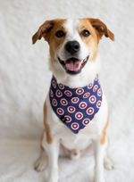Captain America Bandana