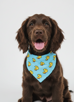 Quack Quack Bandana