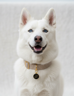 Tori Boink® Cosmic Night Charm