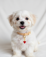 Tori Boink® Sweet Heart Charm