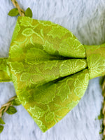 Lush Lime Brocade Bowtie