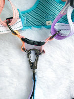 Tori Boink® Step-In Harness – Sunset Gradient