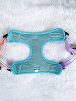 Tori Boink® Step-In Harness – Sunset Gradient