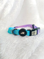Tori Boink® Smart QR Collar – Blue-Pink Gradient